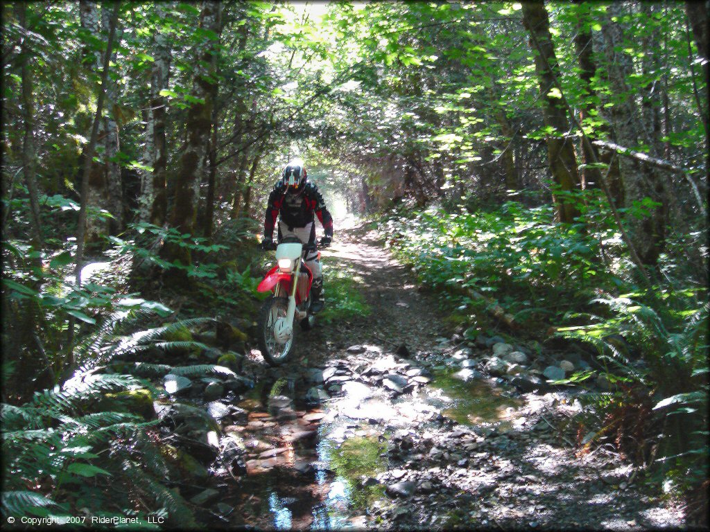 Honda CRF Dirtbike crossing the water at Lubbs Trail