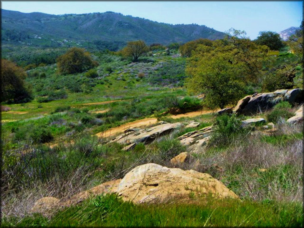 Natural terrain motocross track in southern California.