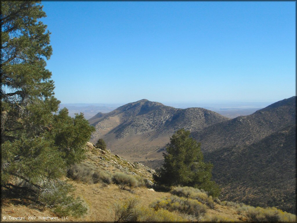 Scenery at Dove Springs Trail