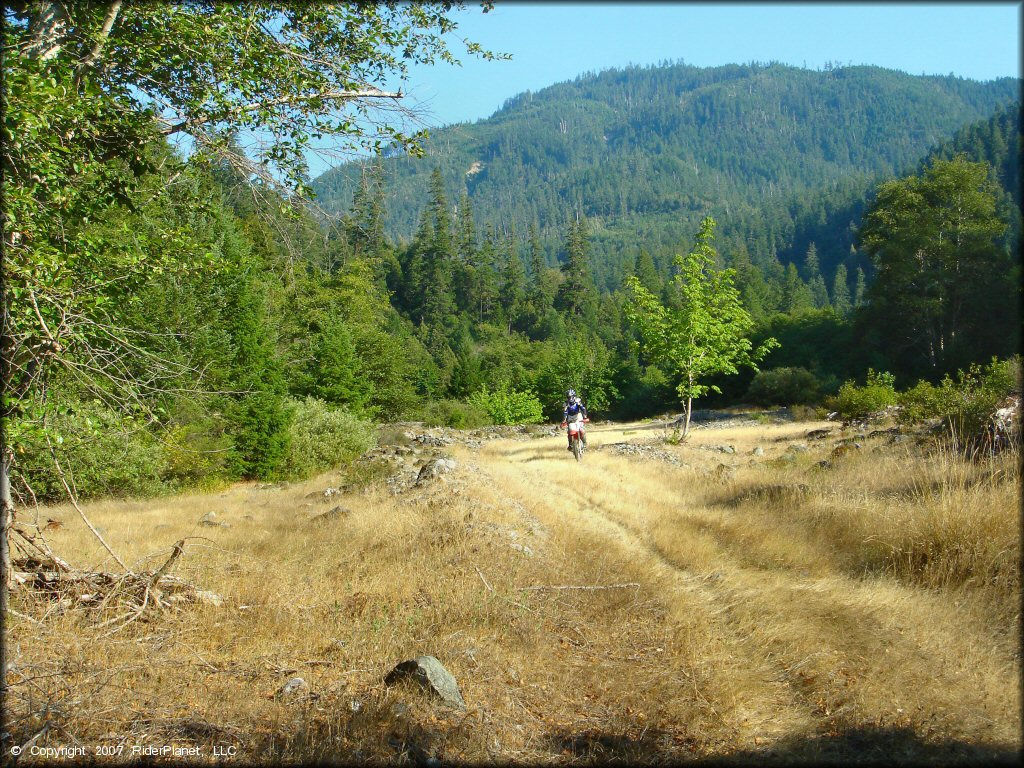 Honda CRF Motorcycle at Lubbs Trail