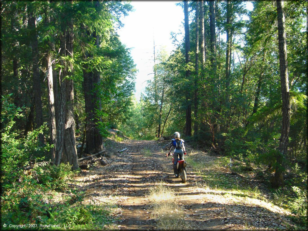 Honda CRF Dirtbike at Lubbs Trail