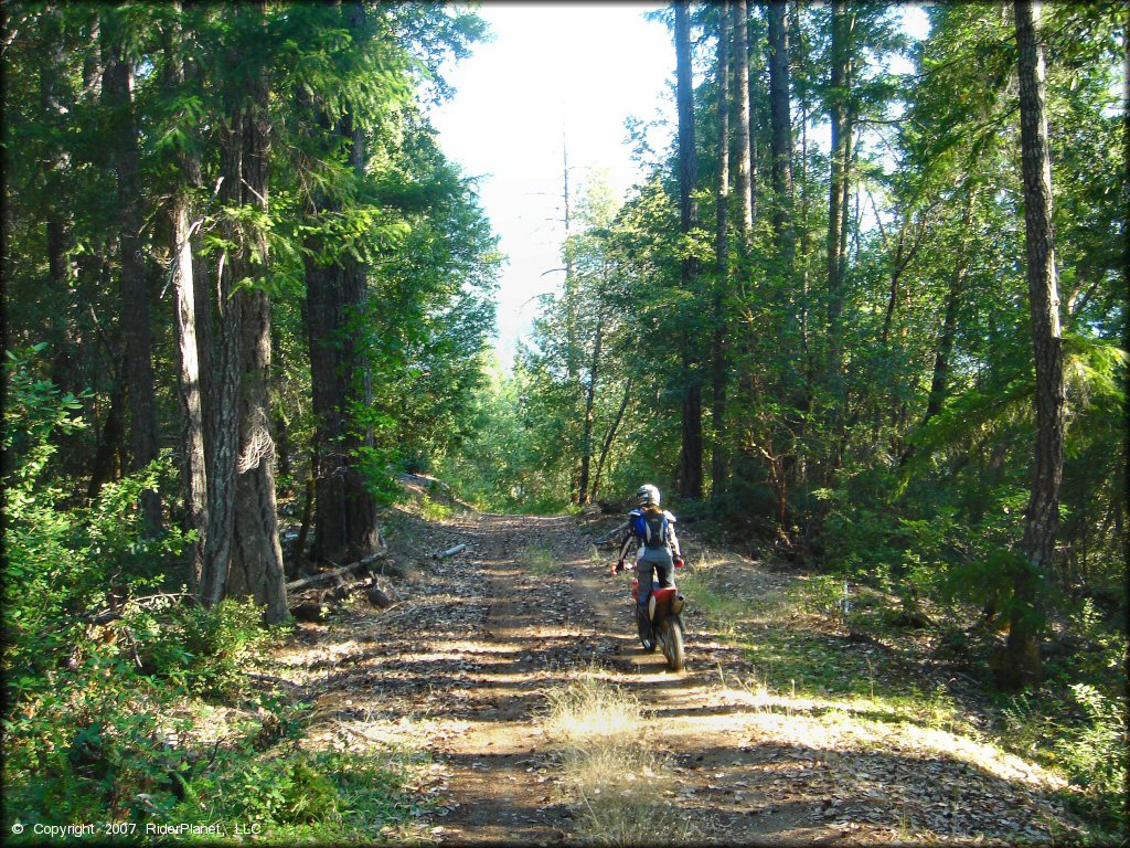 Honda CRF Trail Bike at Lubbs Trail