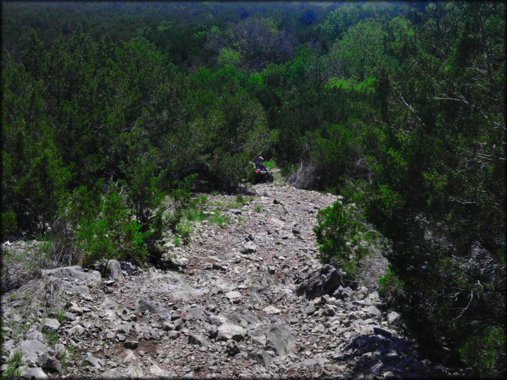 Cross Bar Ranch Trail