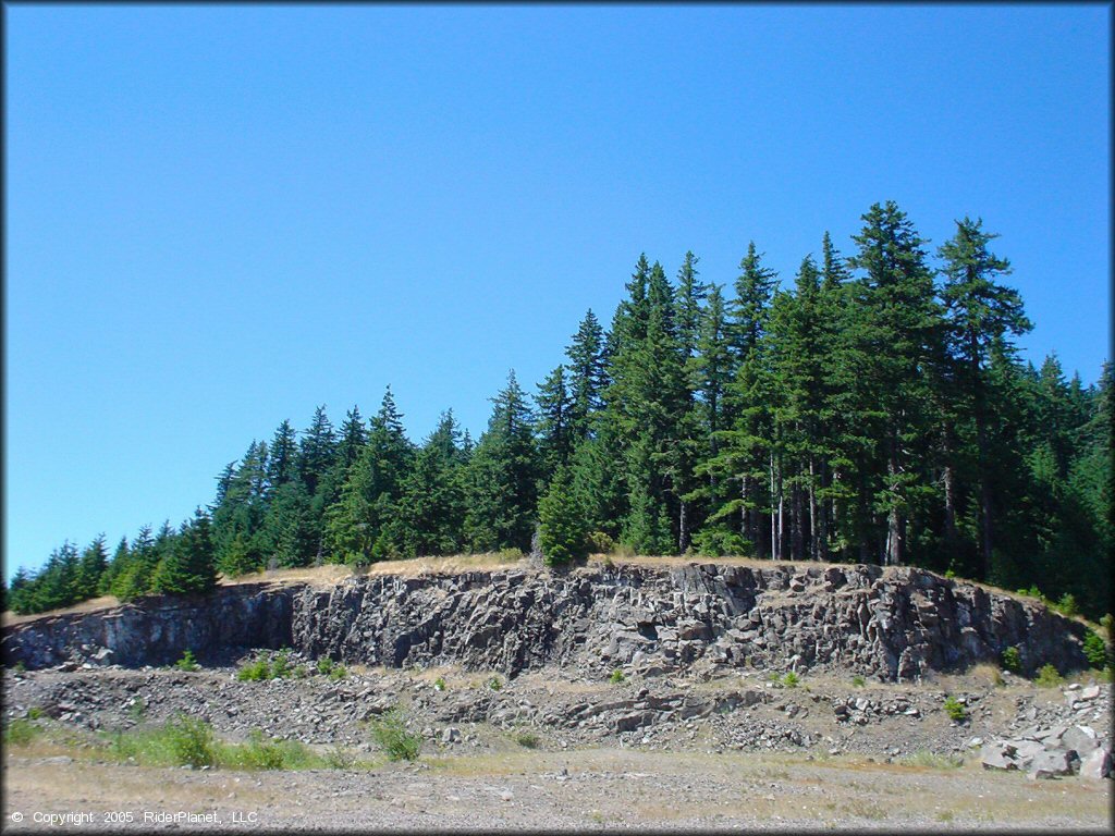 Scenery at Prairie Peak Trail