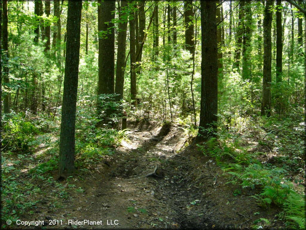 Example of terrain at Franklin Trails