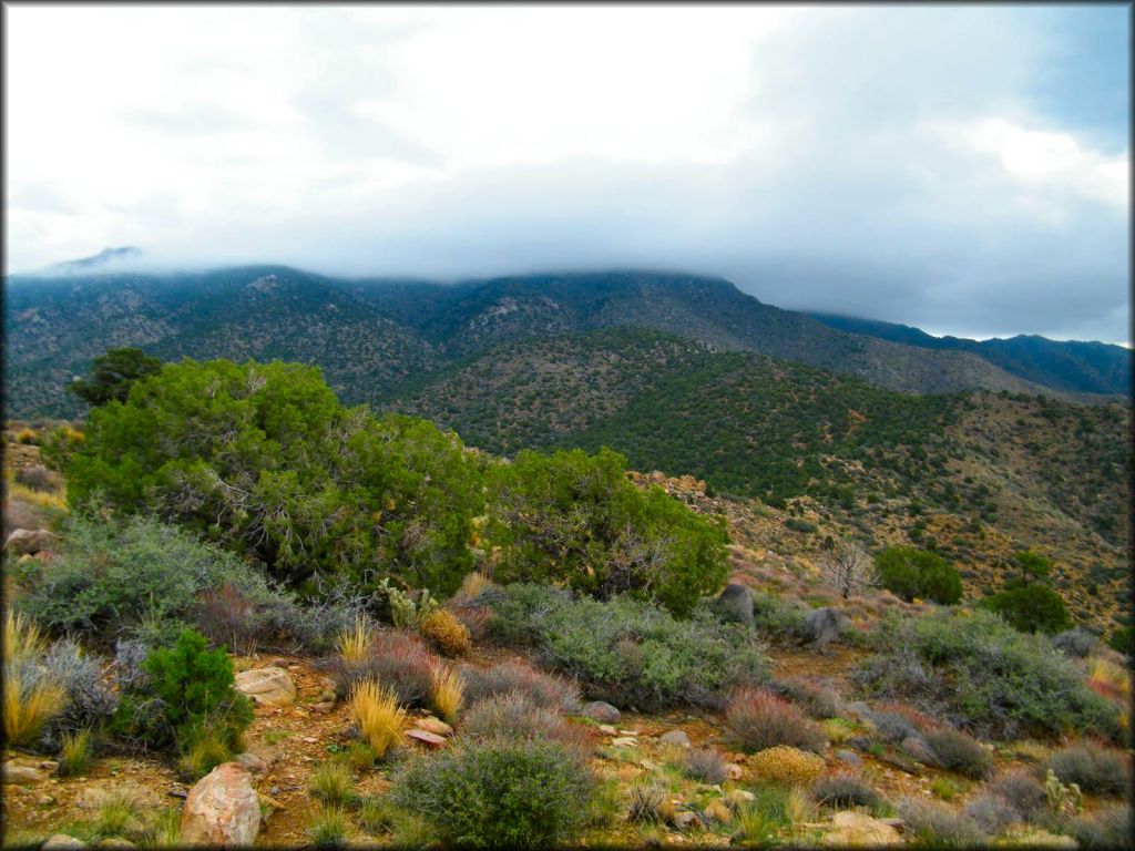 Chloride Mine Trails