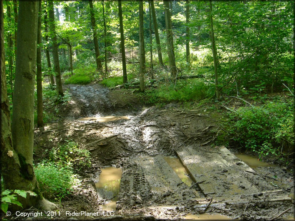 A trail at Tall Pines ATV Park Trail