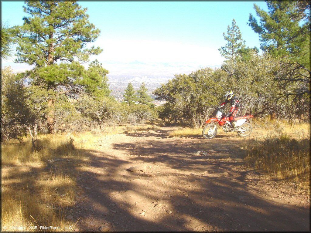 Honda CRF Dirt Bike at Hunter Lake Trail