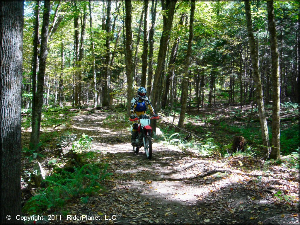 Honda CRF Motorbike at Beartown State Forest Trail