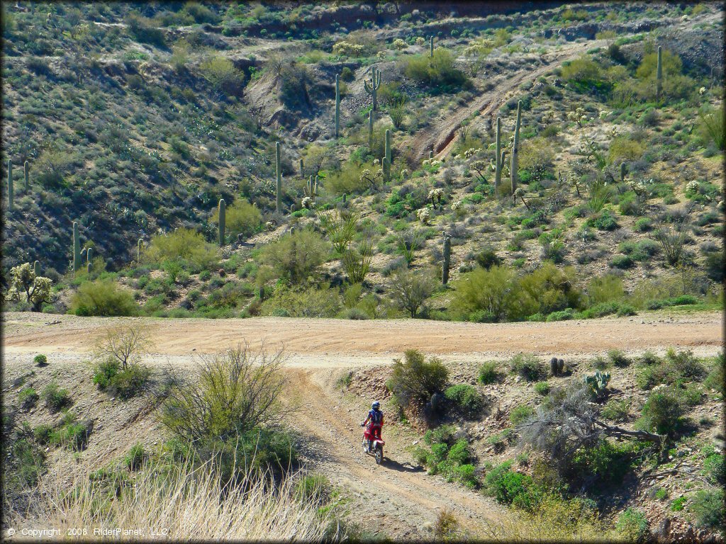 Honda dirt bike going down small rocky hill.