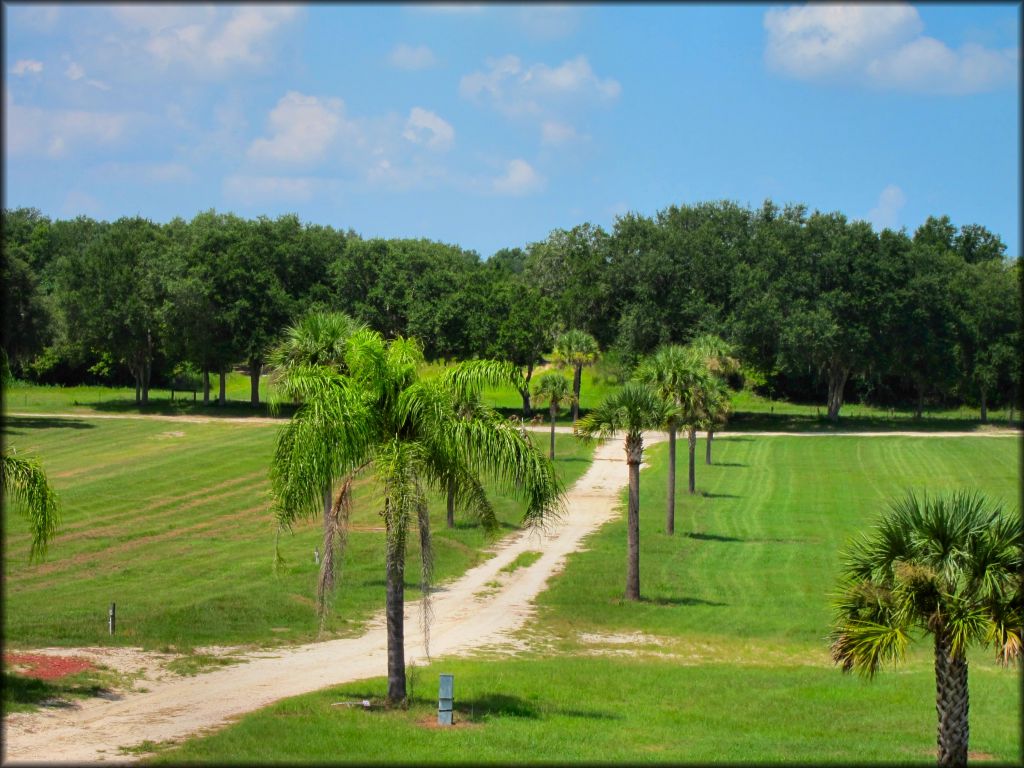 Gatorback Cycle Park Track