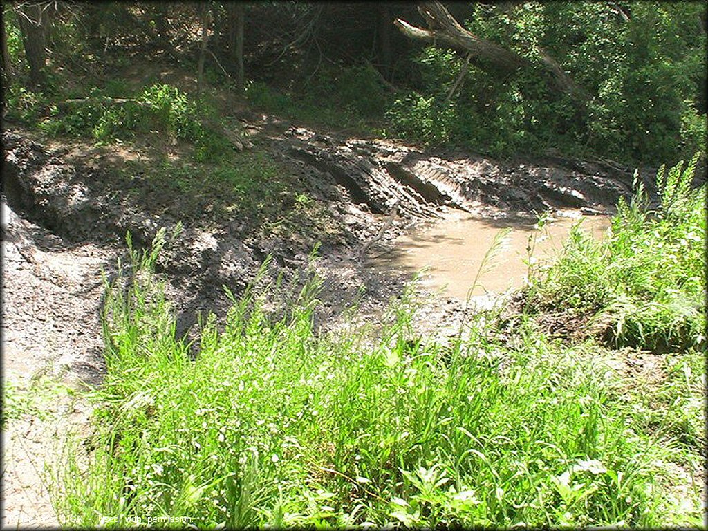 Example of terrain at Cedar Run ATV Trail