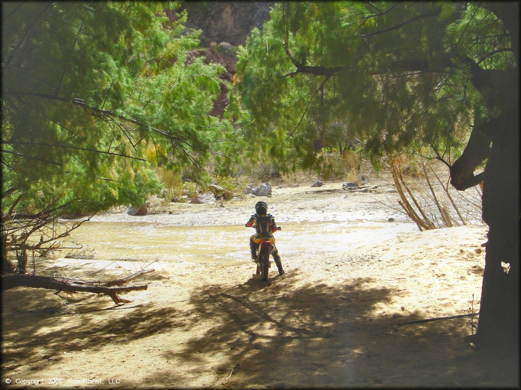 Honda CRF Dirt Bike at Black Hills Box Canyon Trail