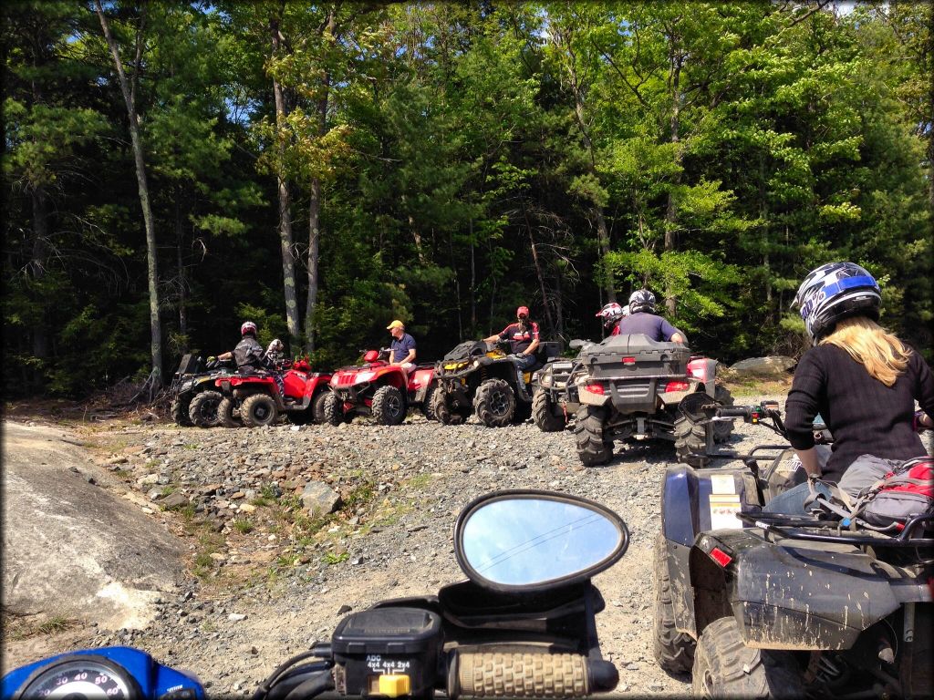 Little Monadnock Family Trails