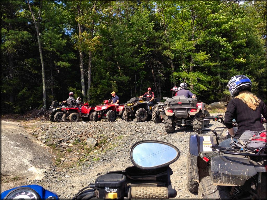 Little Monadnock Family Trails