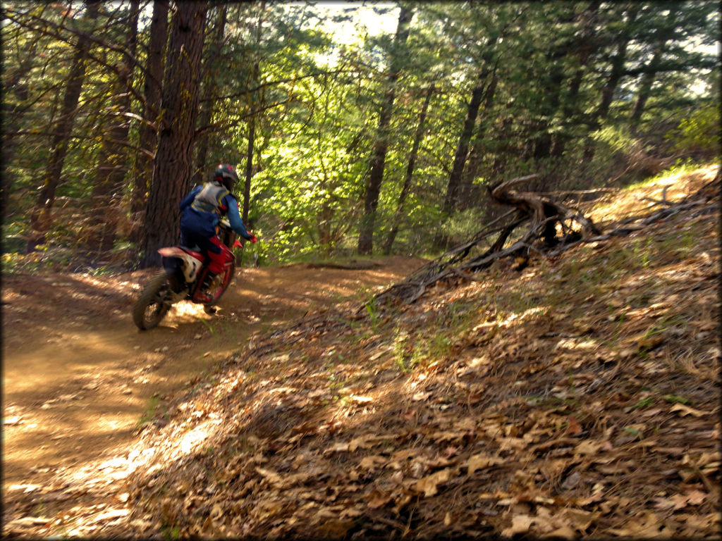Humbug OHV Area Trail