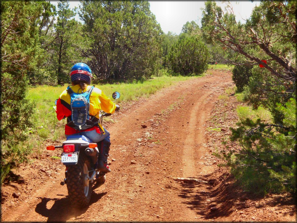 Motorbike at Maverick Trail