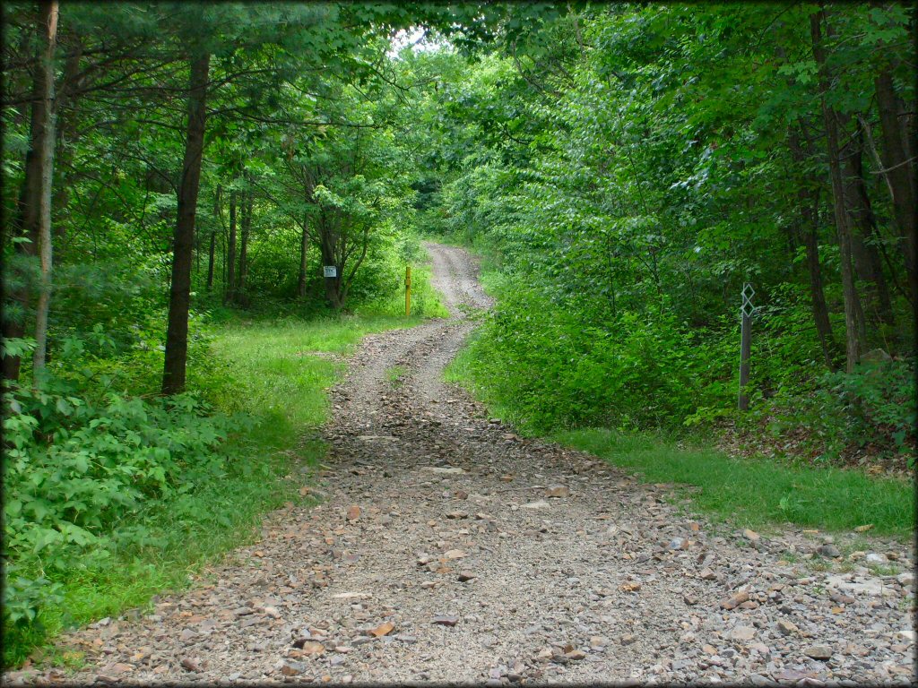 A trail at Sideling Hill Trail