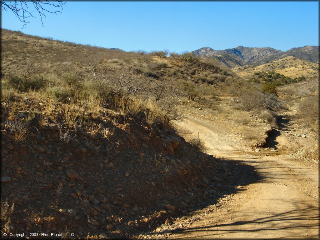 Some terrain at Mt. Lemmon Control Road Trail