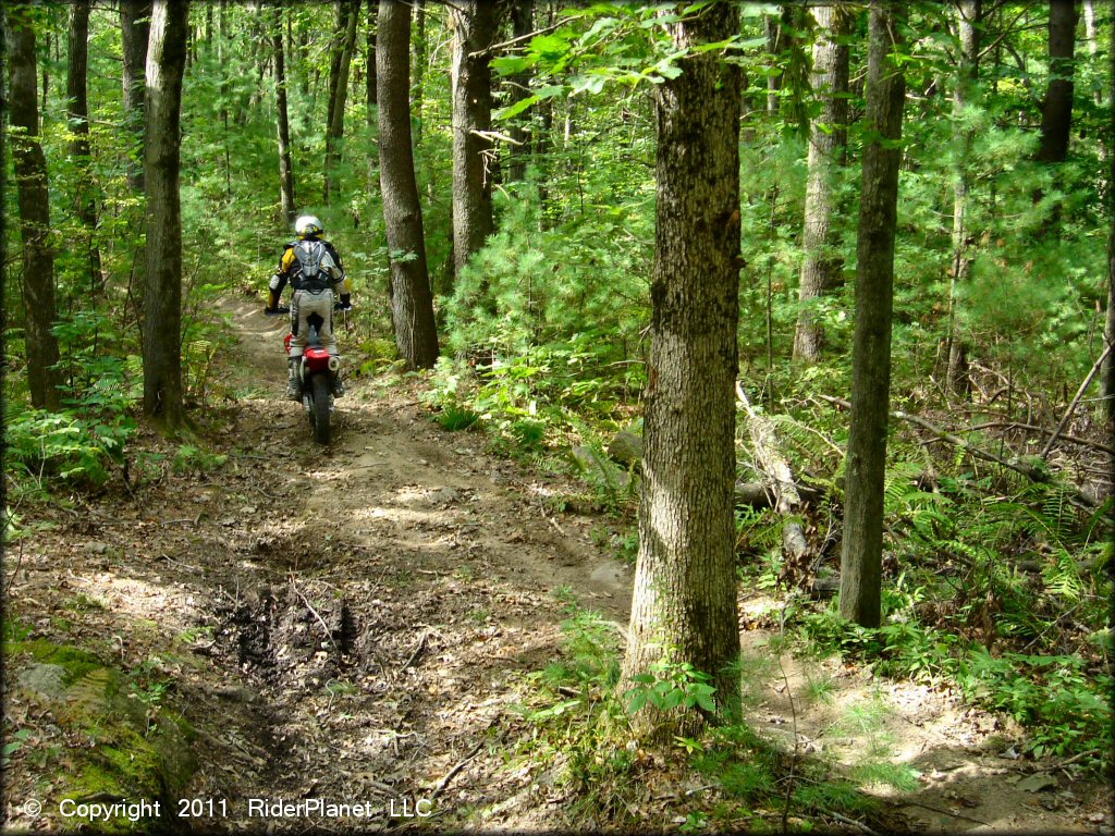 Honda CRF Dirt Bike at Franklin Trails