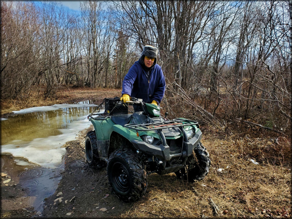 Pinochle Creek Trail