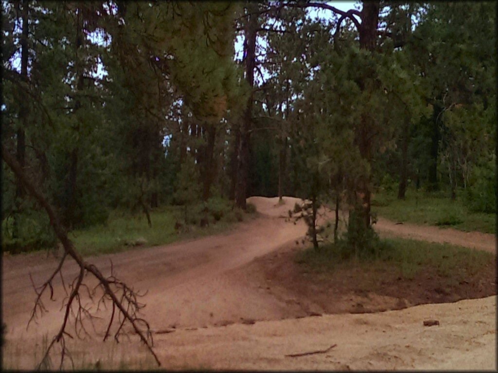 A smooth section of trail for ATVs, UTVs and motorcycles.