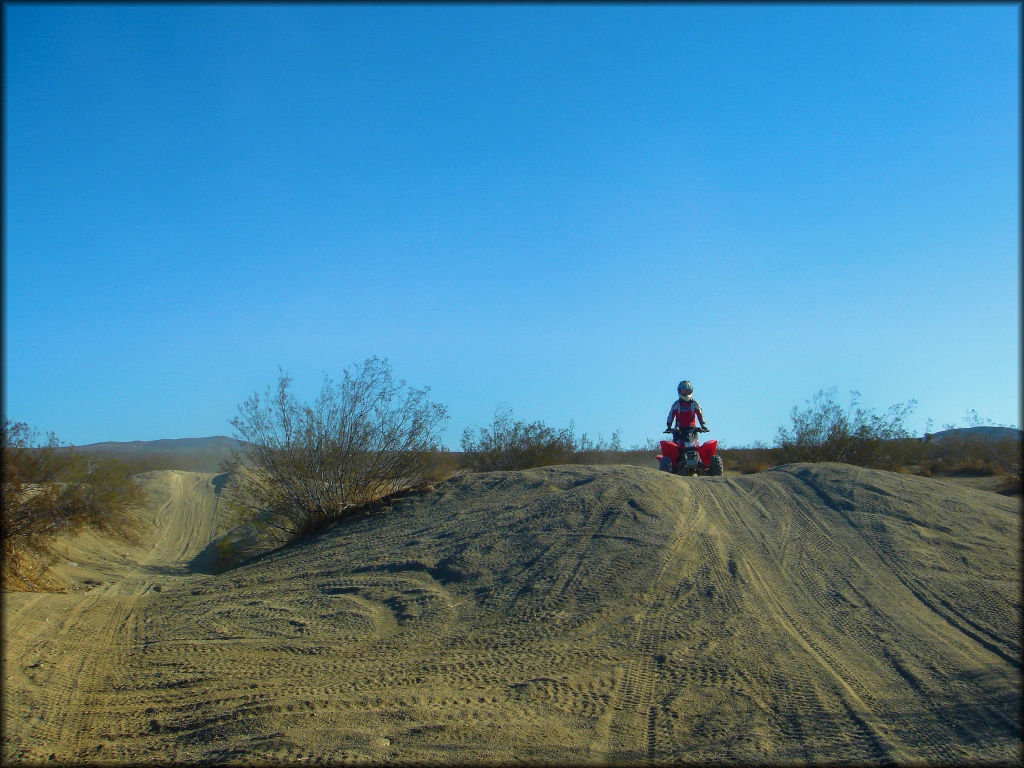 Honda TRX250 going up small hill.