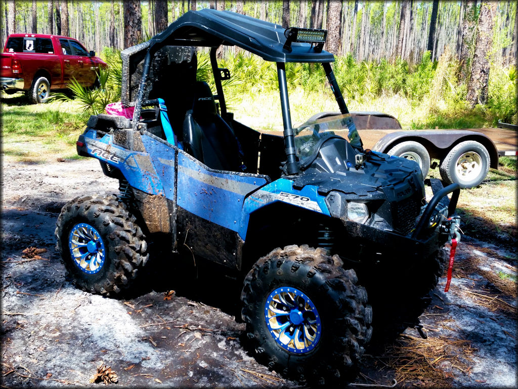 Osceola National Forest Trail