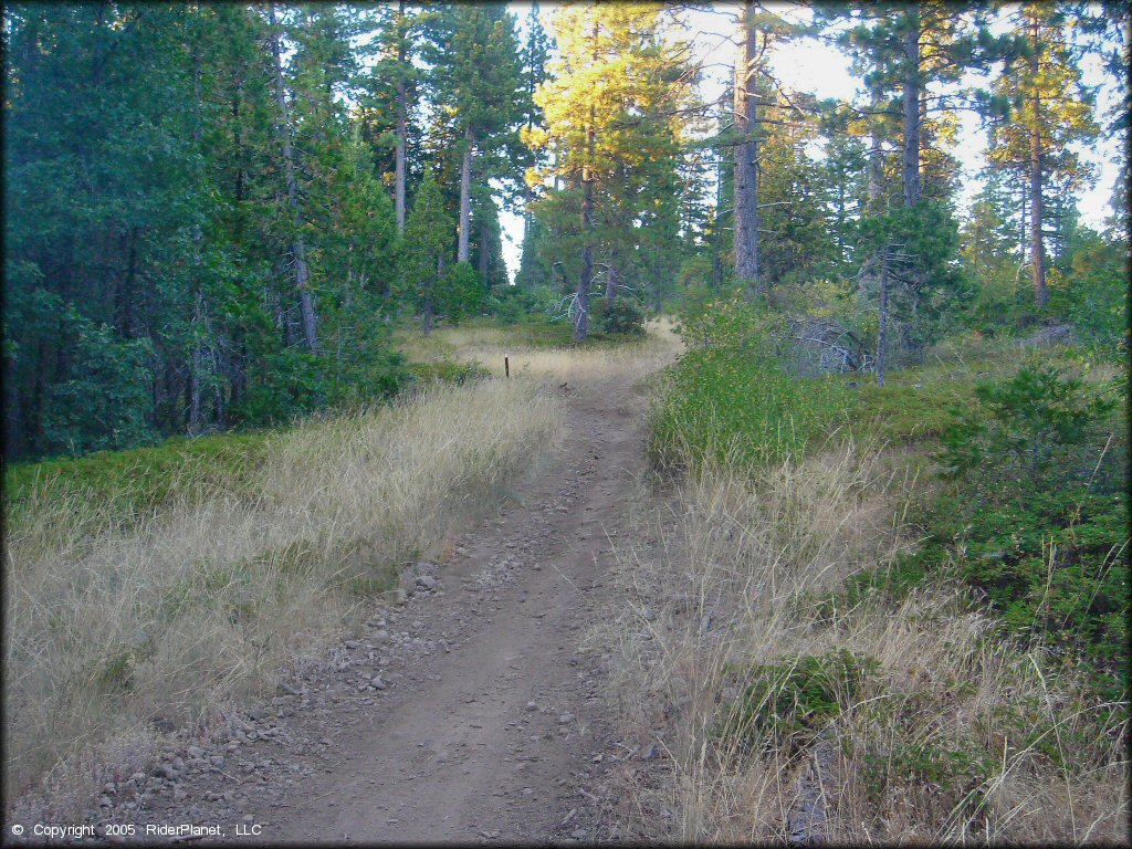 Some terrain at Interface Recreation Trails