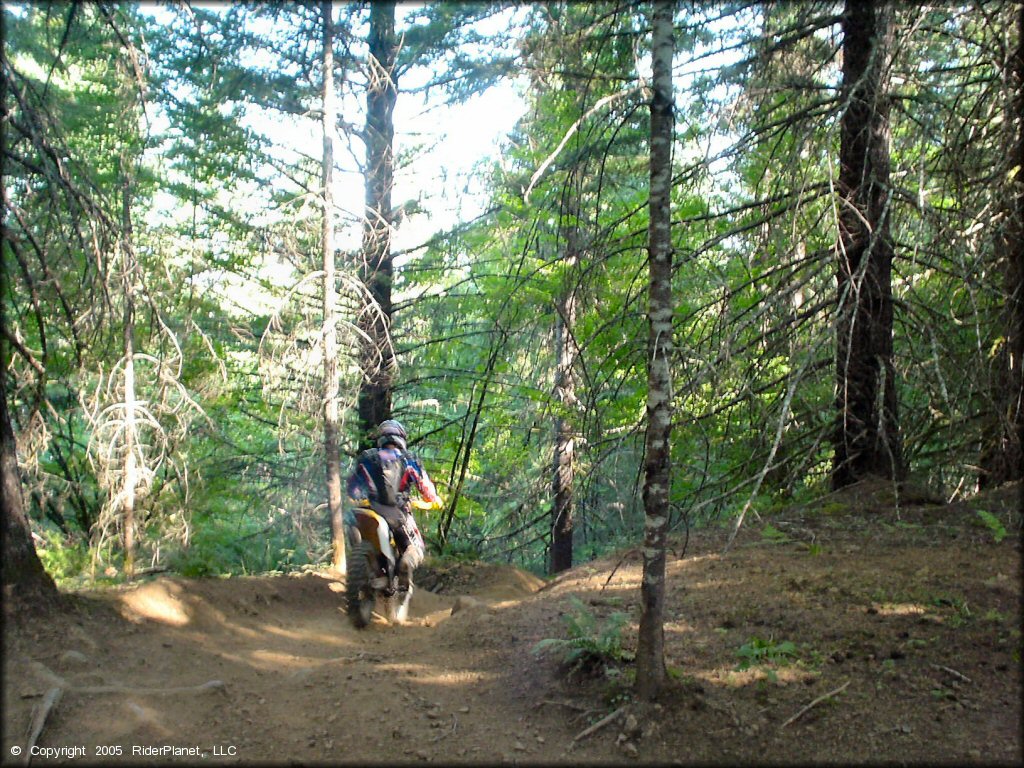 OHV at Trask OHV Area Trail