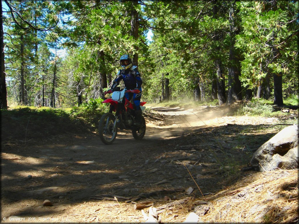 Honda CRF Dirt Bike at Gold Note Trails