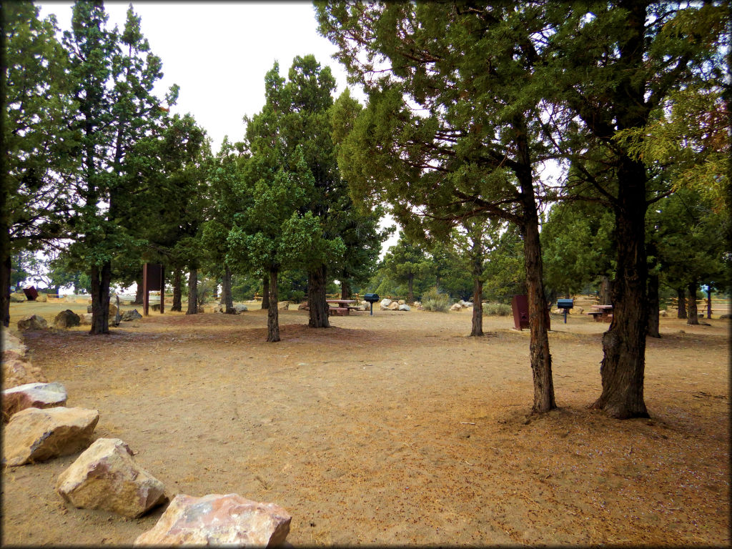 Juniper Flats OHV Area Trail