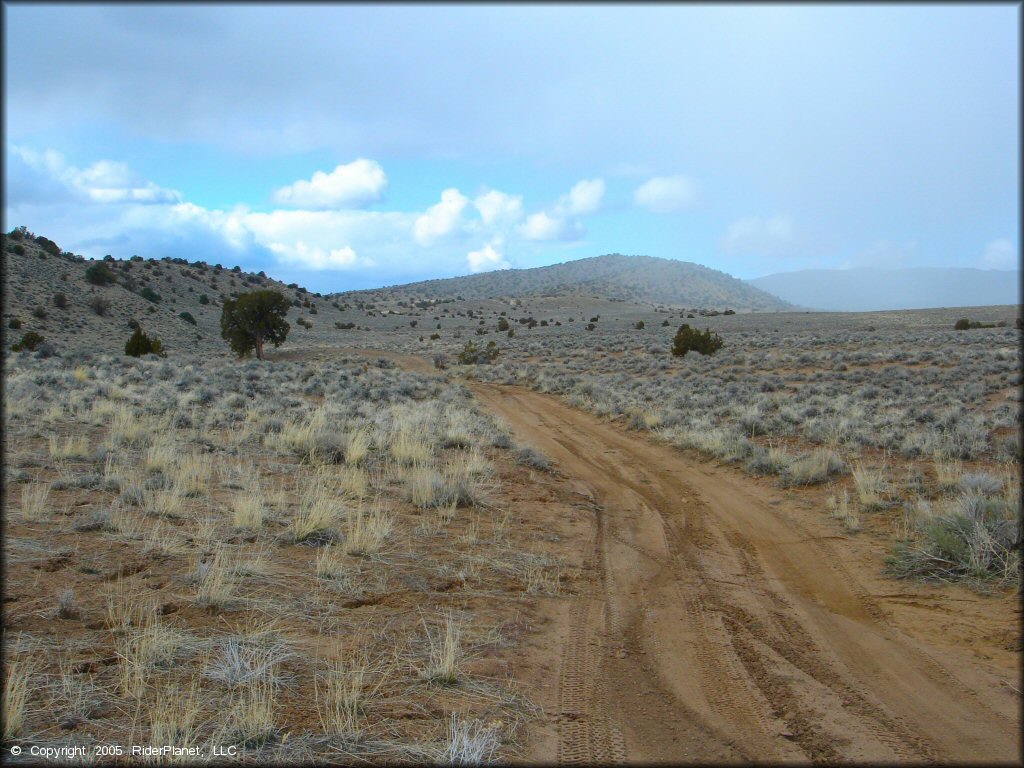 A trail at Old Sheep Ranch Trail