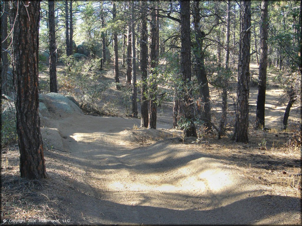A trail at Alto Pit OHV Area Trail