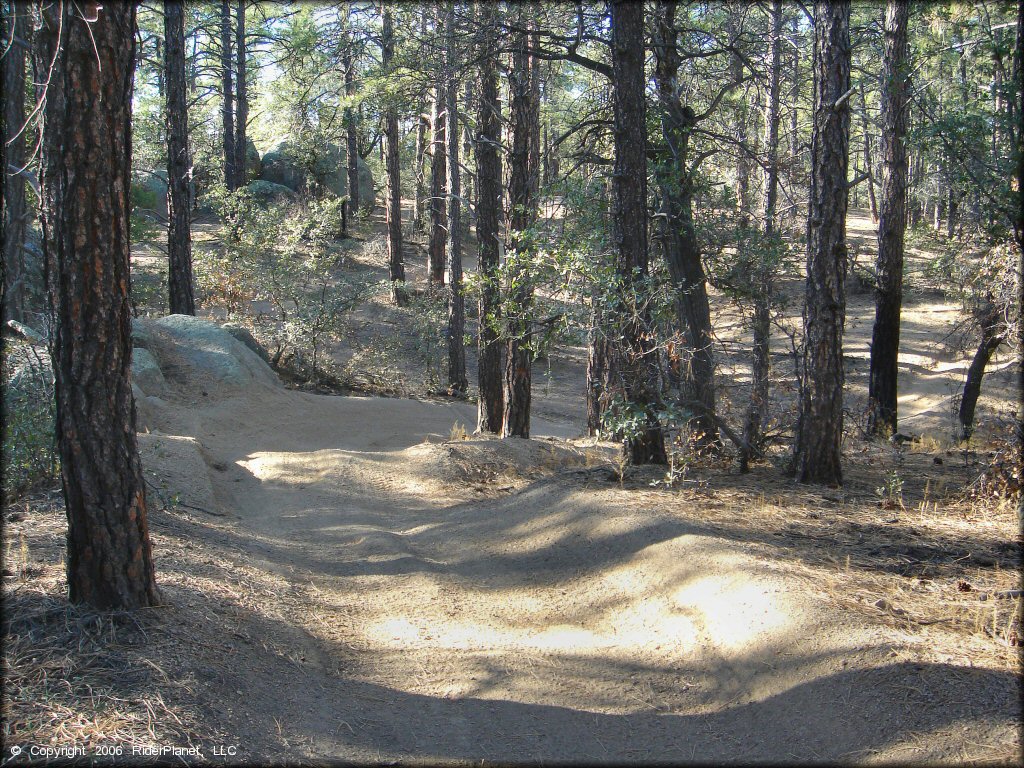 Some terrain at Alto Pit OHV Area Trail
