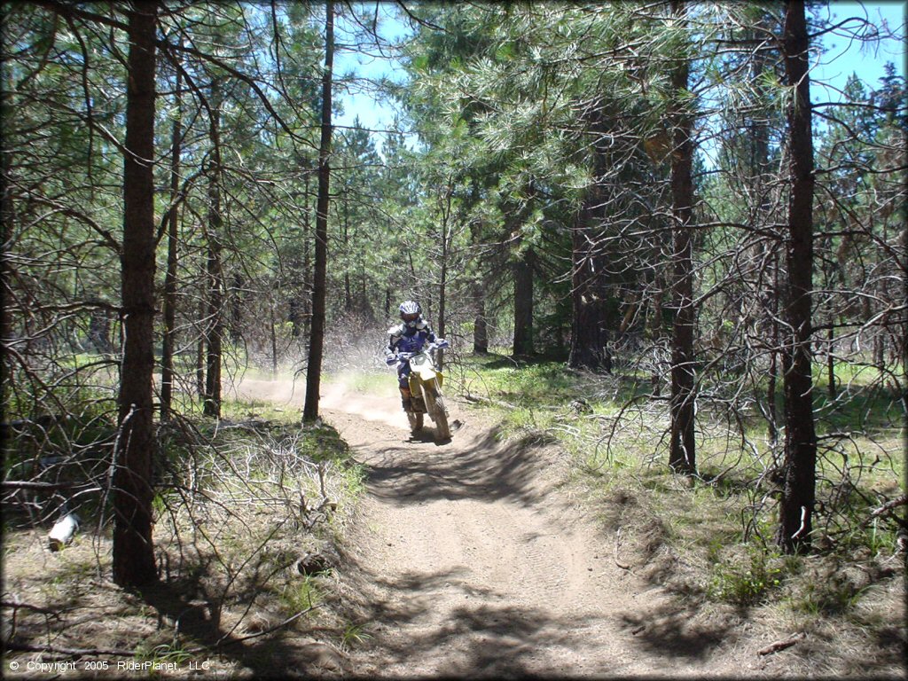 OHV at Prospect OHV Trail System