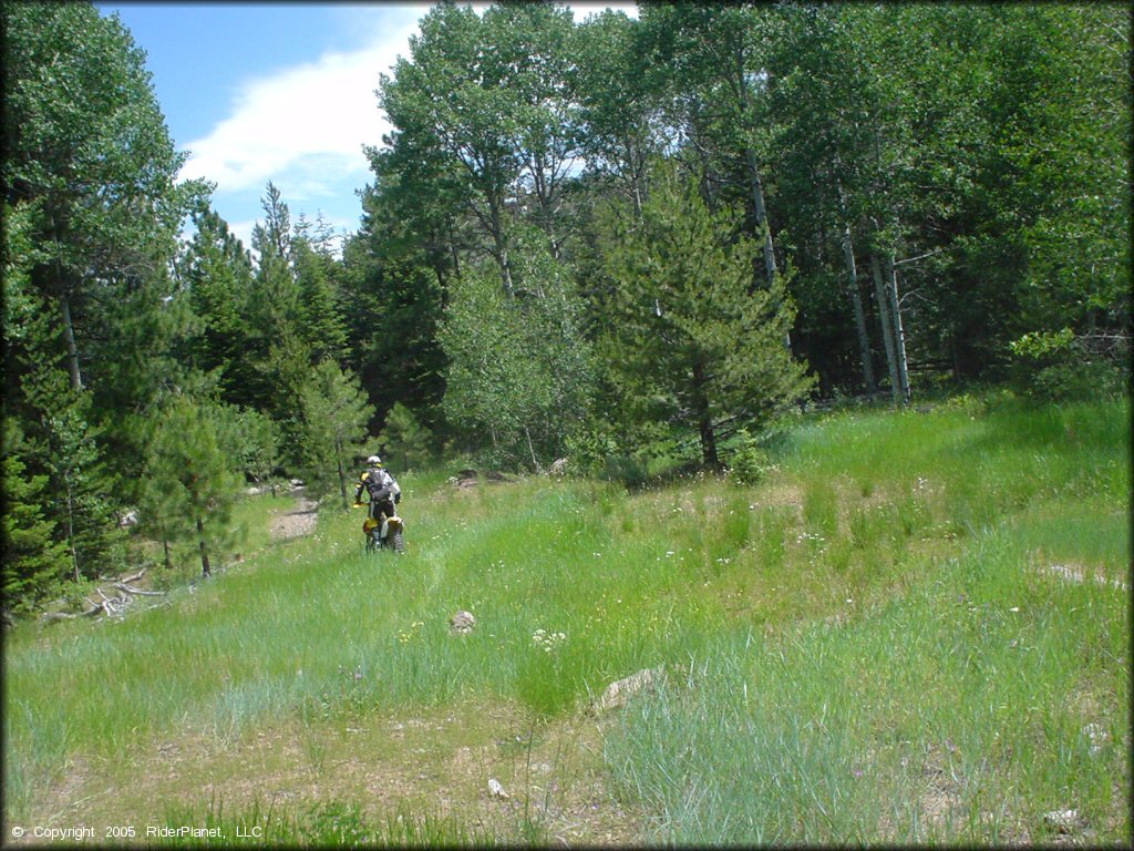 OHV at Crane Mountain OHV Trail