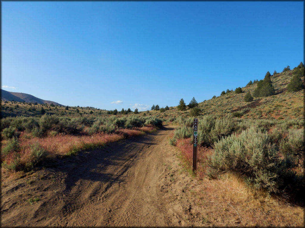 Rice Canyon OHV Area Trail