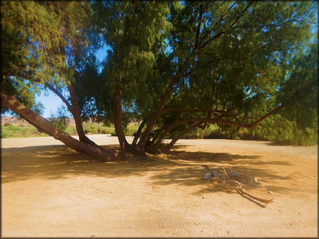 Moabi Regional Park OHV Area