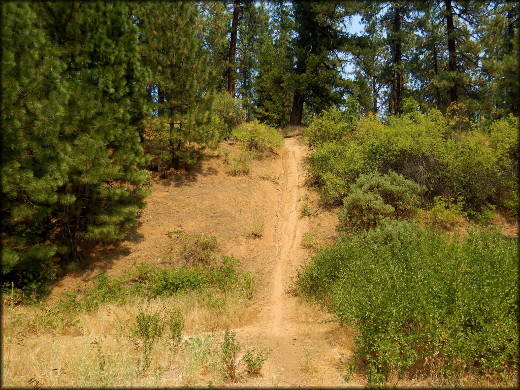 Humbug OHV Area Trail