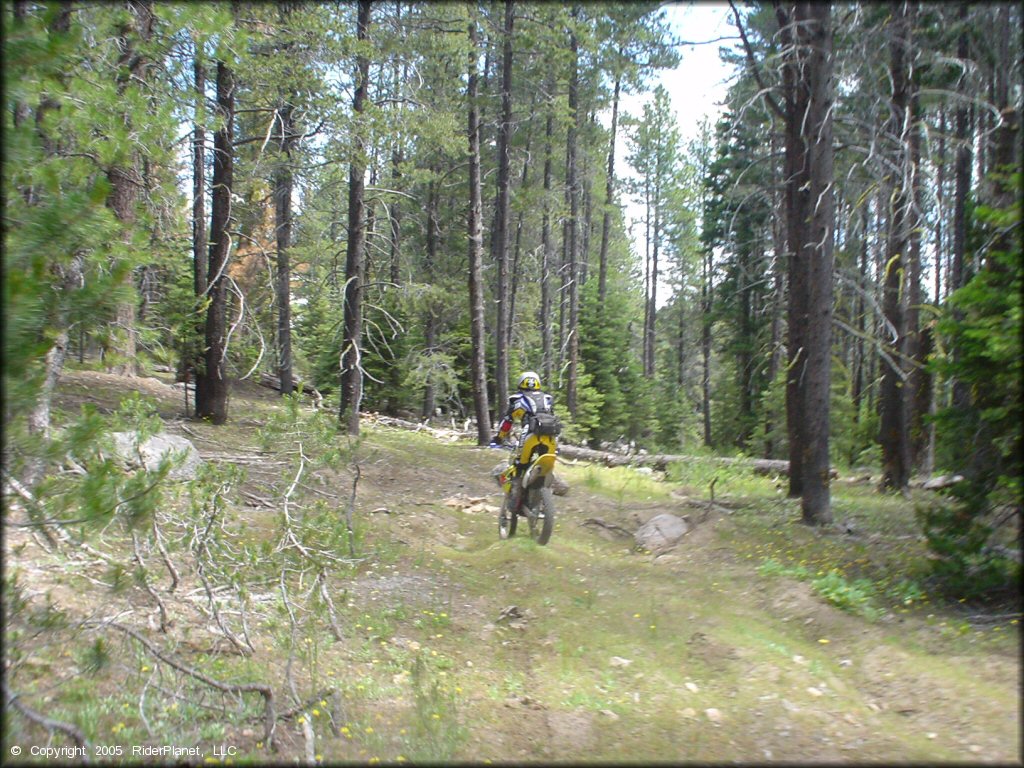 OHV at Crane Mountain OHV Trail