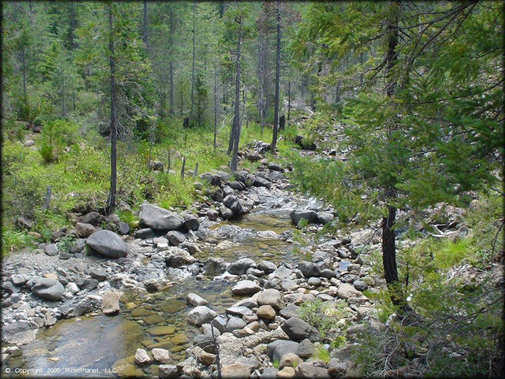 Scenic view of shallow stream flowing over river rocks surrounded by pine trees.