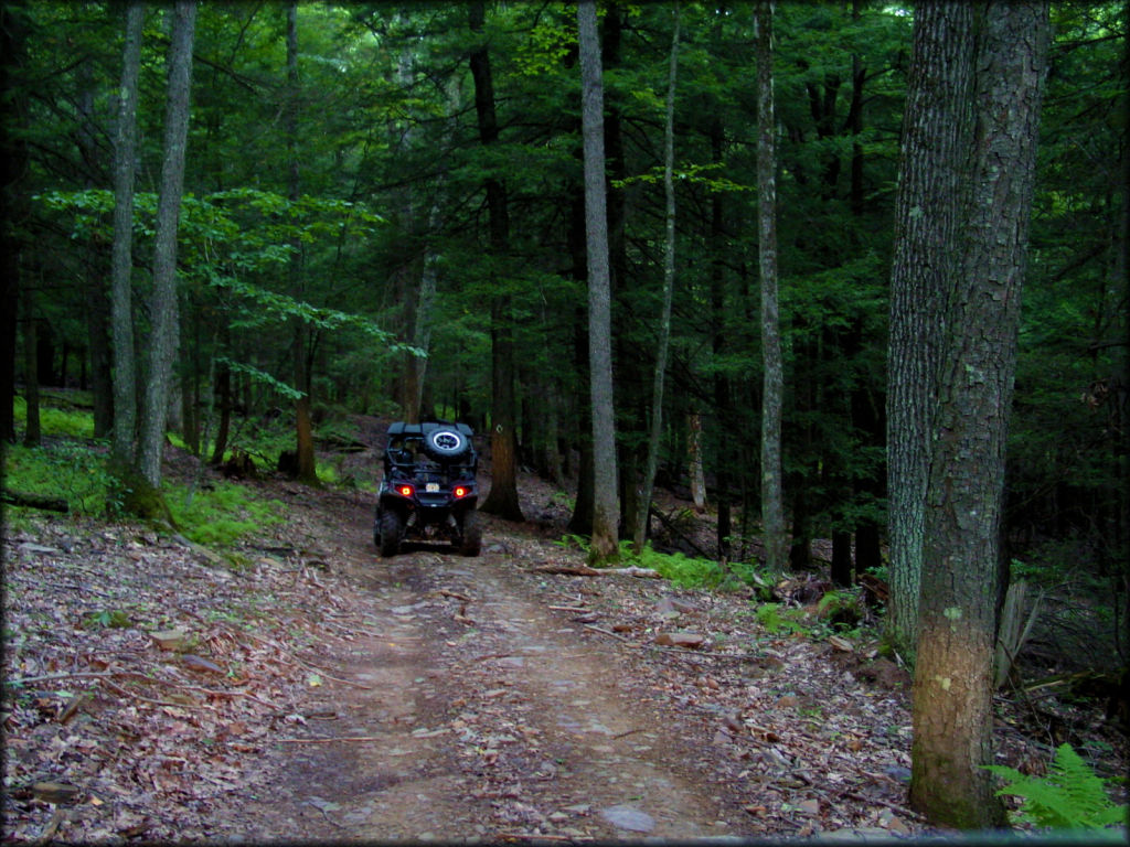 Haneyville ATV Trails