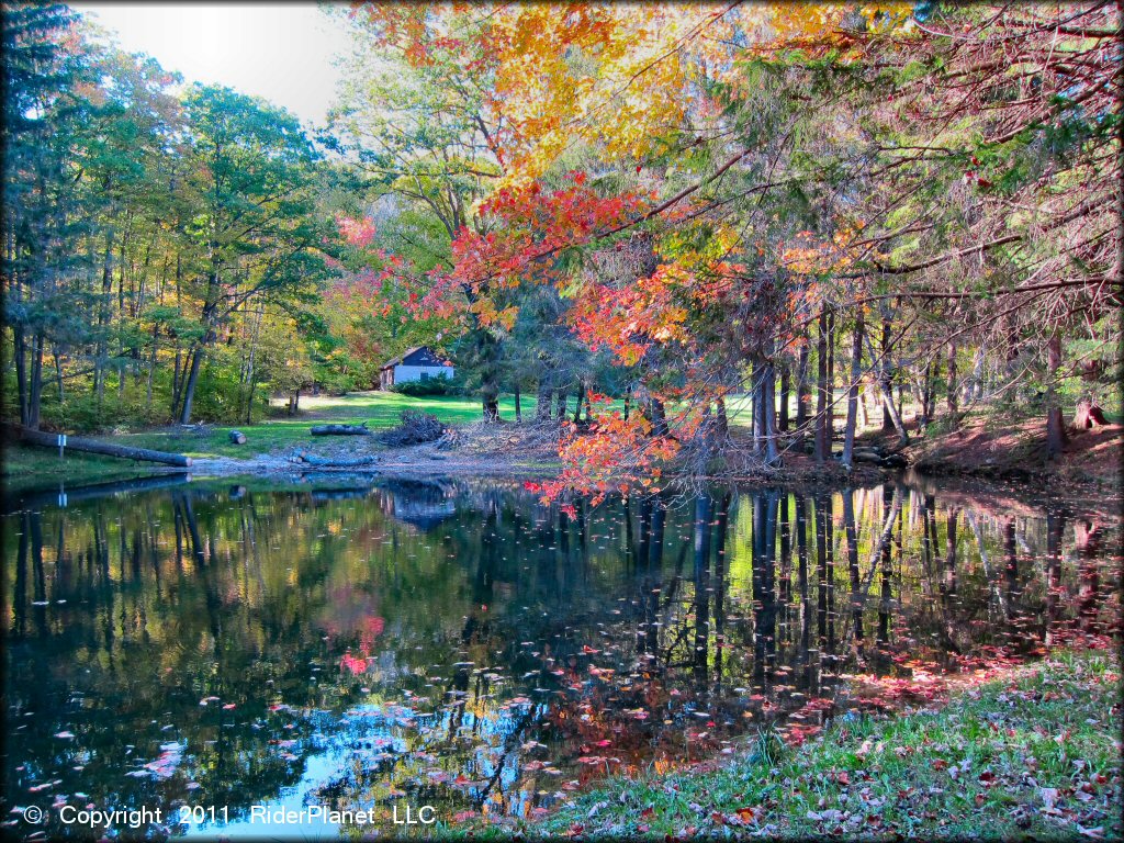 Scenery from Pittsfield State Forest Trail