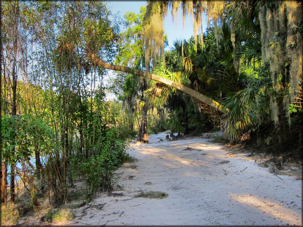 Peace River Campground Trail