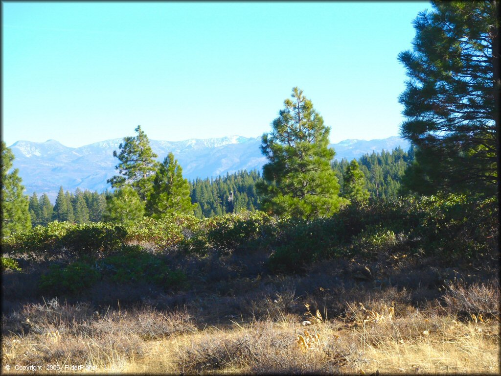 Scenic view of Billy Hill OHV Route Trail