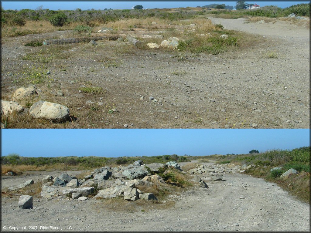 A trail at Samoa Sand Dunes OHV Area