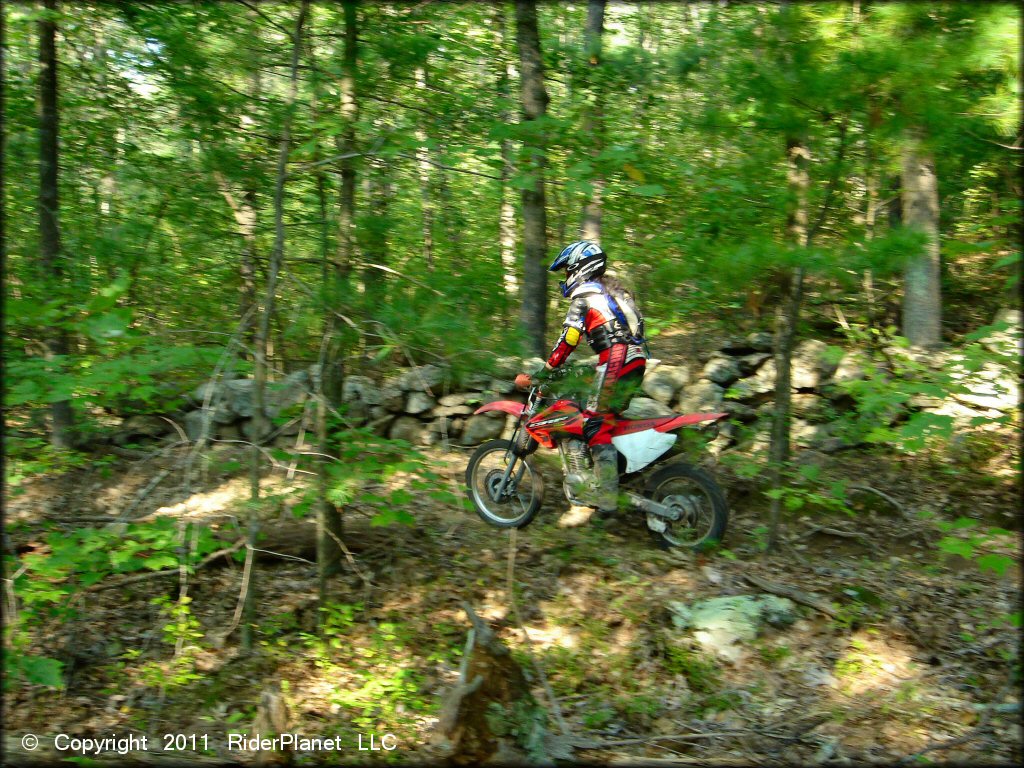 Honda CRF Dirt Bike at F. Gilbert Hills State Forest Trail