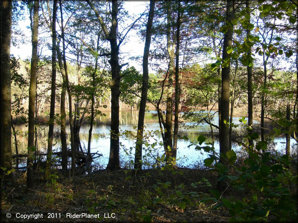 Scenic view at Hodges Village Dam Trail