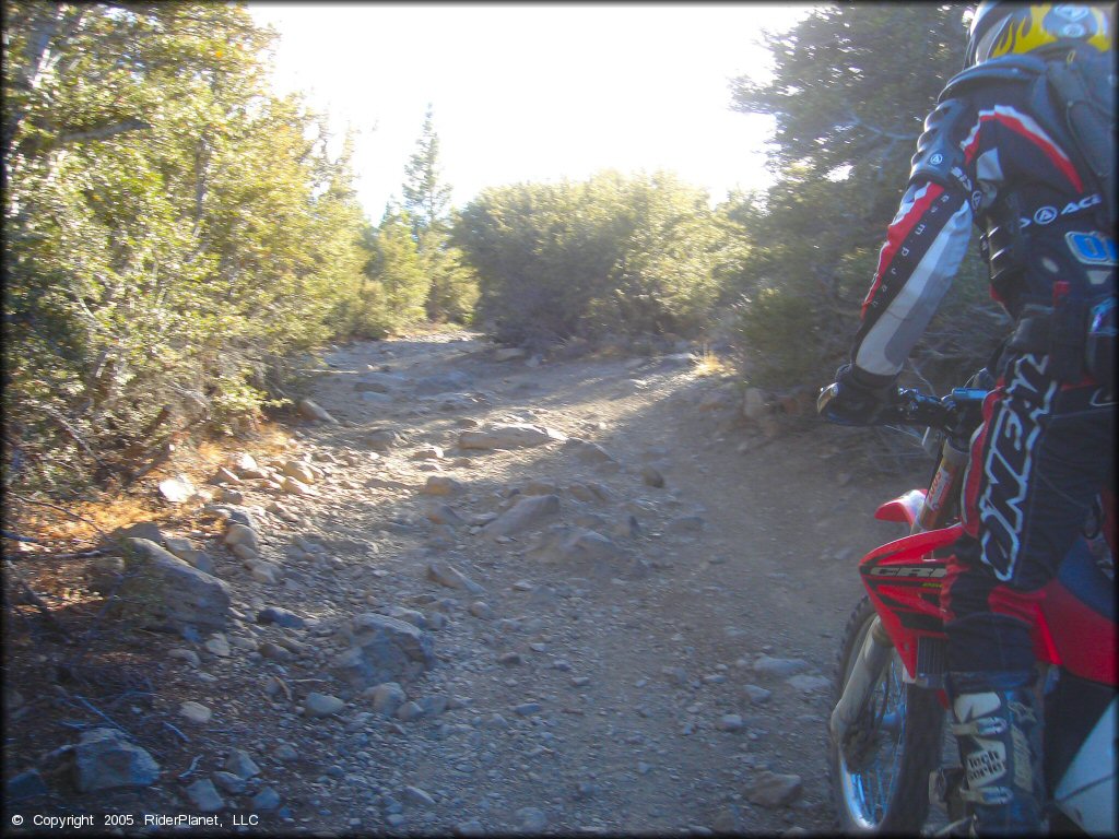 Honda CRF Motorcycle at Hunter Lake Trail